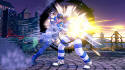 Rough Chase.jpg