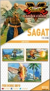 SagatCard.jpg (125 KB)