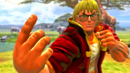 USFIV Ken Summer Costume