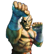 Street Fighter IV, retrato versus.