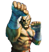 Character select Sagat SFIV