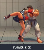 Sakura-flower-kick-1.jpg (11 KB)