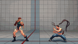 Raida Hurtbox Extension