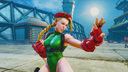 Cammy after defeating F.A.N.G