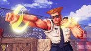 13029501 10154229645067147 5527387784082268188 o.jpg (219 KB) Guile's V-Trigger I - Solid Puncher