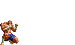 Tiger Shot Street Fighter Wiki Fandom