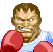 Ultra Street Fighter II portrait