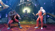 M. Bison