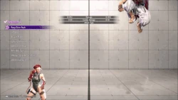 CammyClassicAdvanced4