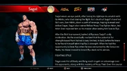 Sagat's profile 3