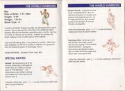 Ryu in Street Fighter II SNES Manual.