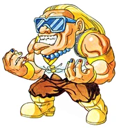 MightyFFDamnd.png (222 KB) Damnd's appearance in Mighty Final Fight.