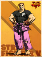 Artwork from the Street Fighter V website.