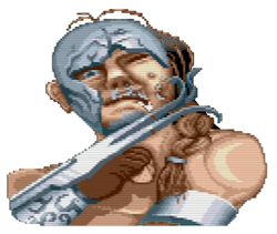 Vega/Gallery, Street Fighter Wiki