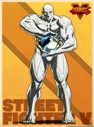 Shadaloo C.R.I. profile art