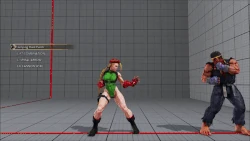 CammyVol2.9