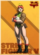 Shadaloo C.R.I. profile artwork