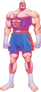 Sagat in Super Street Fighter II.