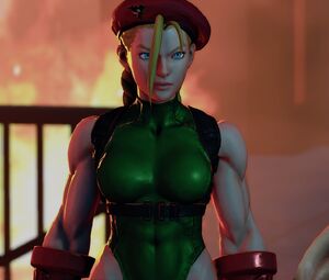 Cammy tells Guile and Chun-Li about the chess pieces.