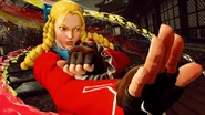 Karin activating her Critical Art.