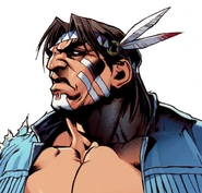 T. Hawk