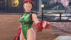 Cammy explaining about the control pieces.