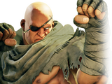 Sagat