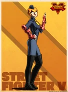 Shadaloo C.R.I. profile artwork.