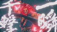 Akuma's second Critical Art.