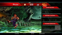 Tatsumaki Zankukyaku Active Frame 13