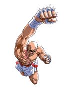 Sagat in Street Fighter II' Turbo.