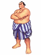 E. Honda (Capcom vs. SNK: Millennium Fight 2000)