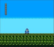 Blanka's Stage.