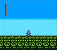 SFXMM Blanka.jpg (74 KB) Blanka's stage in Street Fighter X Mega Man