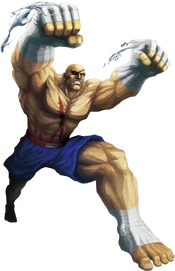 Sagat SF×TK artwork