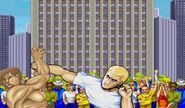 Max (with different color) and Scott, as seen in the Street Fighter II' Turbo (Hyper Fighting) intro.