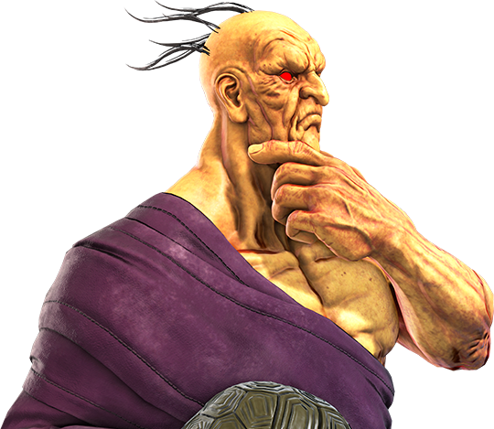 Street Fighter 6, Street Fighter Wiki