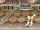 Bonus Stage