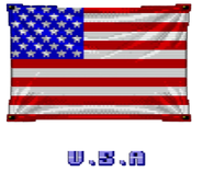 United States flag as it appears in the original Street Fighter