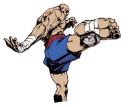 SSFIITR-Sagat2