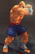 Sagat activating Tiger Genocide