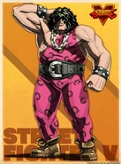 Shadaloo C.R.I. profile art