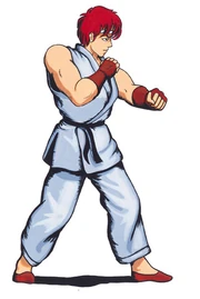 , in his Shotokan style from an artwork of 