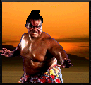 Sfm honda.png
