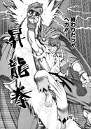 The Shin Shoryuken in the manga.