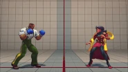 Victory Rose in Street Fighter IV
