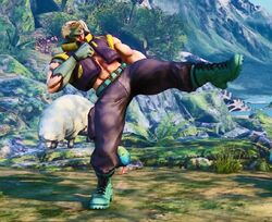 StepKick.jpg