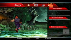 Tatsumaki Zankukyaku Active Frame 11