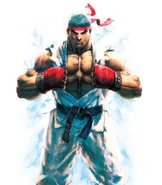 Bonus DVD Package (Street Fighter IV)