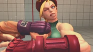 Punch to the face